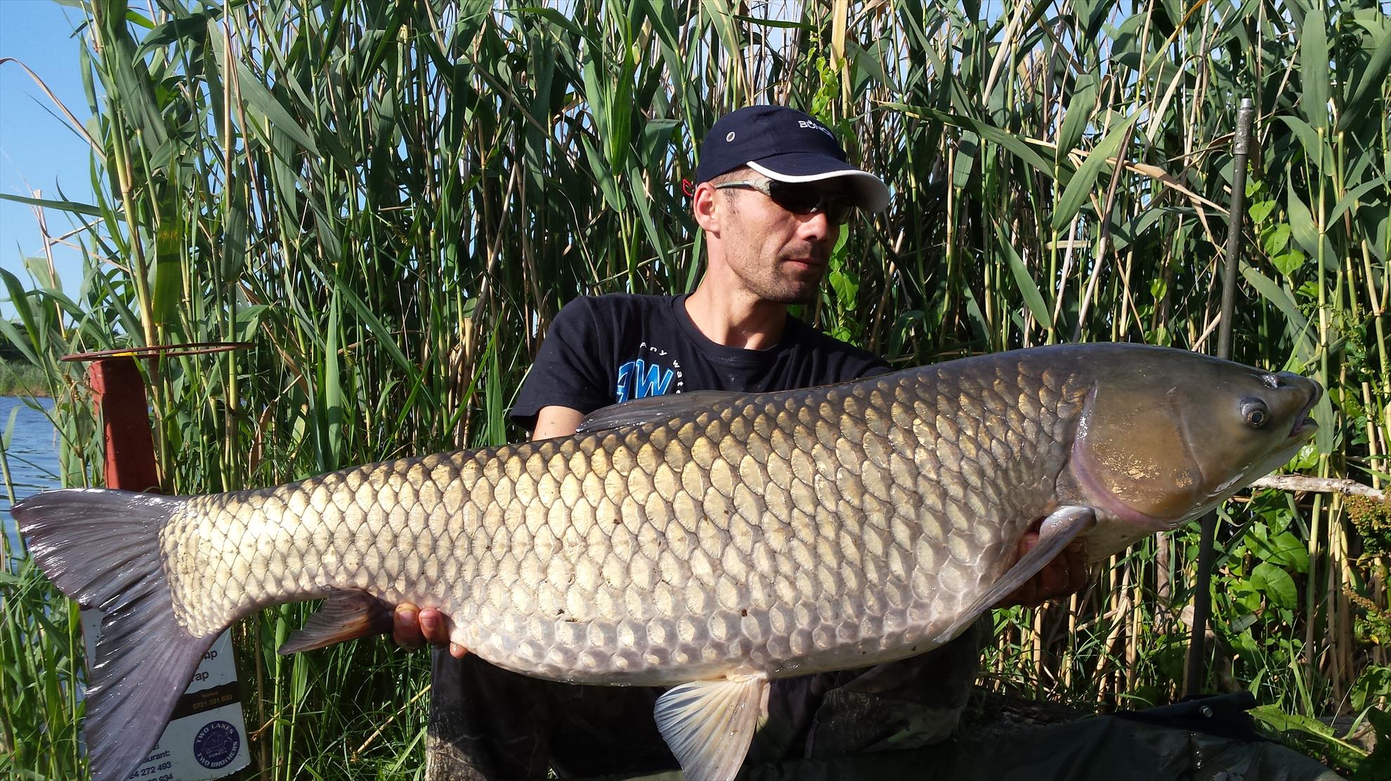 Tancabesti 5 - 6 iunie 2015 - 20150606081234.jpg